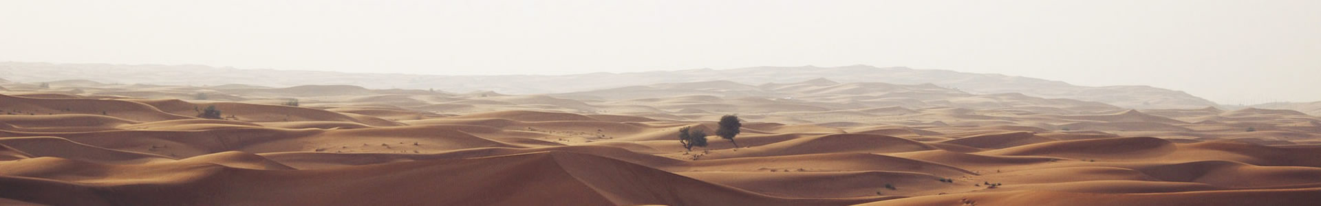 ʯׯ-Ƽ޹˾